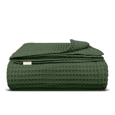 Плед покривало вафельне 75x95 Basil Greek Waffle