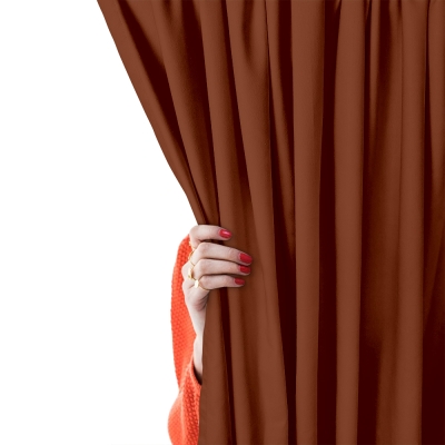 Штори на кухню та в кімнату 180х260 CINNAMON 2шт