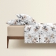 Євро постільна білизна EXOTIC FLOWERS CS2