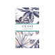 Євро постільна білизна PALM LEAVES CS3