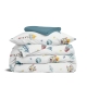 Підліткова постільна білизна з простирадлом на резинці SPACE ROCKET CS8