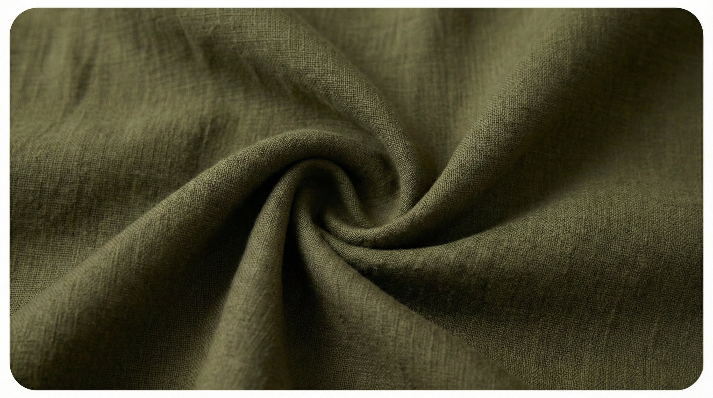 ОЛИВКА — Природна гармонія